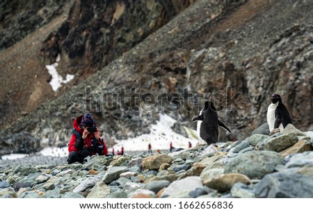 Antarctica, after crossing the Antarctic circle line. On Pourquoi Pas Island, a tourist is taking a photo from the penguins at Bongrain Point.
