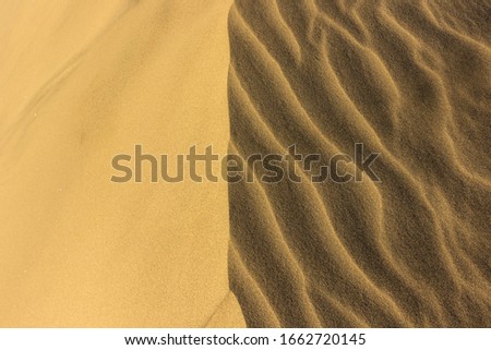 Dunes of Maspalomas in Gran Canari (Canary Islands)