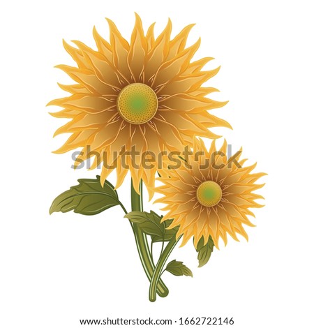 Isolated realistic flower. Spring season - Vector illustration