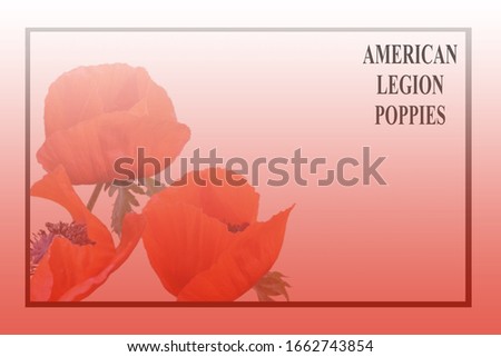 Poppy flowers on an abstract background, flowers of memory of those who died in the war, veterans. Memorial Day concept
