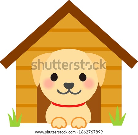 Cute labrador retriever in a dog house