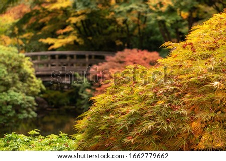 Fall and autumn scenes found around the Portland Japanese Garden