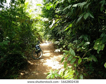 The cycle ride through the jungle