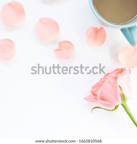Rose and petal with coffee on white background. Floral composition, flat lay, top view, copy space