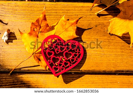 Yellow Autumn maple leafes and red heart  on the wooden backround