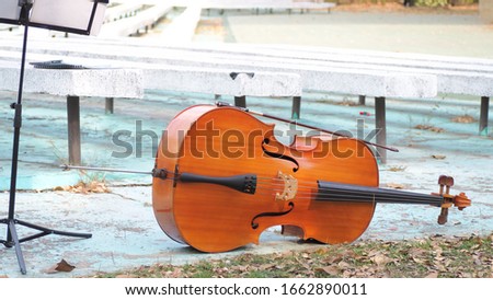 Cello placed in the park for musical performances