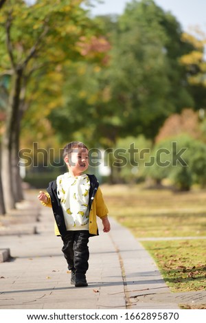 The little boy walking in the park