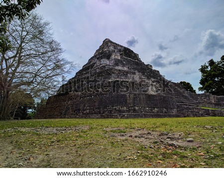 The Ancient Americas, a Mayan ruin