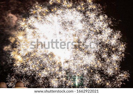 Beutiful fireworks catched during the independant day celebration