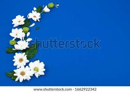 Flower pattern. White flowers on a blue background. Space for text. Top view, flat lay.