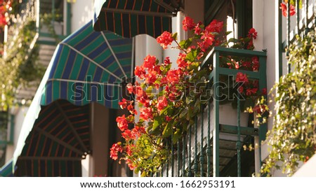 The beautiful street view in the city with flowers blooming put on the window of the buildings