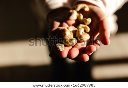 cashew nuts,top view of the hands that hold cashew nuts in the palms,health nuts,healthy food,harvest of nuts