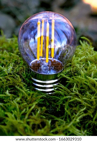 beautiful energy-saving light bulb on a green background. Economy, ecology