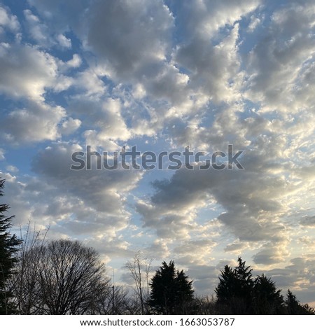 lattice cloud in sky with trees