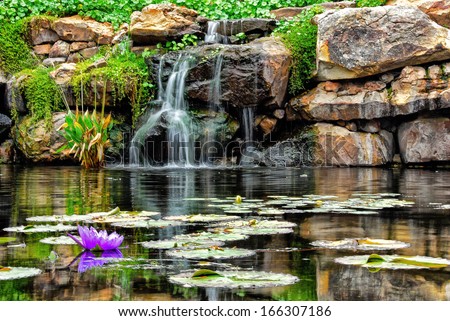 Lilly pad and a water fall Royalty-Free Stock Photo #166307186