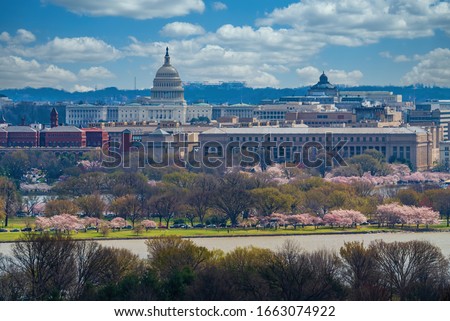 Landscape with United States Capitol, Washington DC, USA