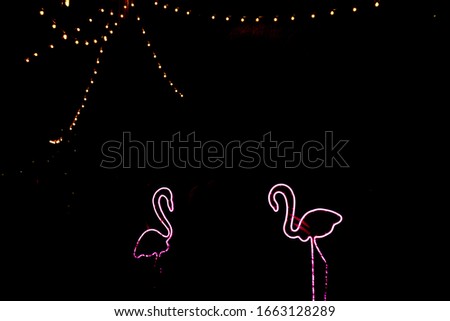 Flamingos neon sign of different colors, mostly pink and blue. Bright and colorful