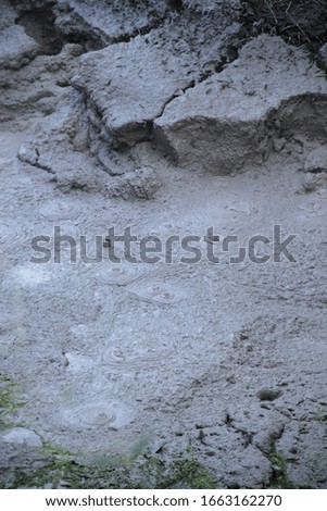Volcanic grey hot mud bubbling