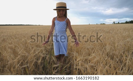Close up of beautiful small girl with long blonde hair walking through wheat field. Cute child in straw hat touching golden ears of crop. Little kid in dress going over the meadow of barley