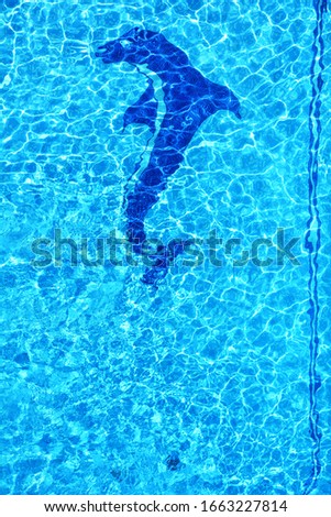 swimming pool with the picture of a dolphin