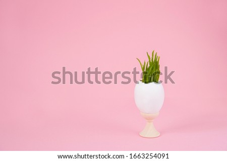 Easter concept with eggs  on a pink background. Eggshell grass, spring, Easter. Festive concept close-up and copy space on a pink background.