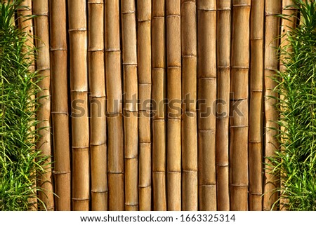 Bamboo wall. Floral pattern background.