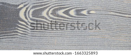 colored wooden abstract grunge background