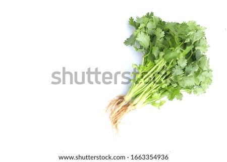 close up and flat lay Coriander, fresh green vegetables on a white background