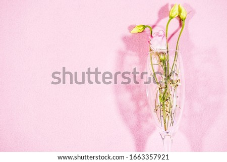 Flowers in a glass on a pink background. Spring concept, copy space