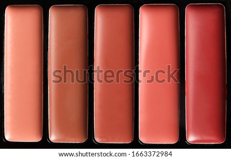 nice different female cosmetics on a white background