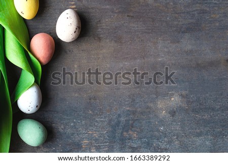 Dyed colorful easter eggs on a vintage wooden background texture, soft pastels and green leafs modern design space for text