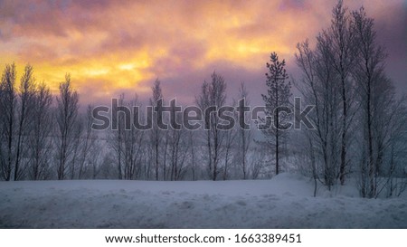 Winter wonderland. Winter forest. Colorful sunrise in forest. Winter nature. Christmas landscape.  (Visible noise due to high ISO, soft focus)