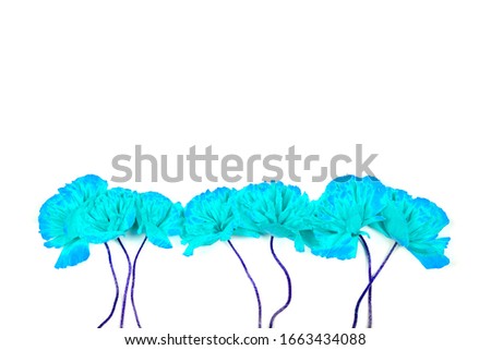 abstract cyan flowers isolated on a white background