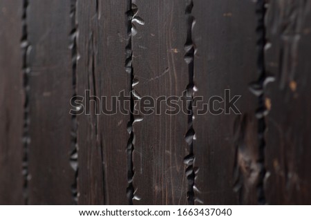 bark of tree texture. Wood bark texture. Part of a tree in daylight. The invoice for designers. Tree and its structure bark texture. The invoice for designers. Background. Tree. Boards.