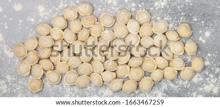 Fresh raw homemade handmade pelmeni (dumplings) with minced meat or fish. Home food concept. Selective focus, top view, long picture, banner