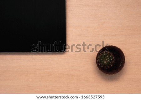 Desktop with cactus, laptop. Business style minimal style concept with copy space. View from above. Flat lay
