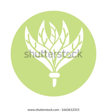 parsley leaves icon over white background, block style, vector illustration