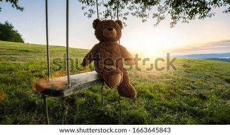 teddy bear sitting on a Swing on sunset. Love theme. Concept about love and childhood