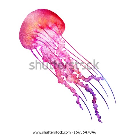 Watercolor illustration. Red jellyfish Ocean fauna. Hand drawn