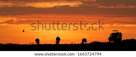 Web banner of African night sunset safari game drive with room for text in open sky Royalty-Free Stock Photo #1663724794