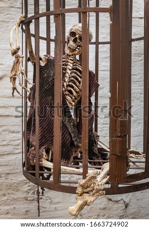 Inquisition cage with skeleton
Medieval cruel punishment Royalty-Free Stock Photo #1663724902