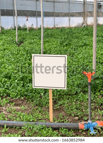 Plants grown in signboard greenhouse