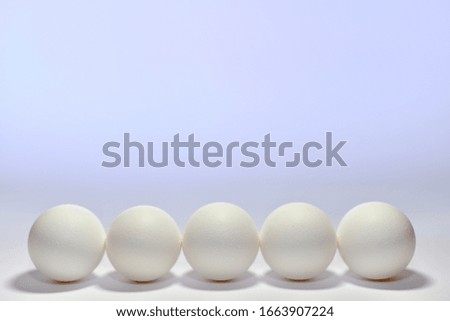 Five white chicken eggs lined side by side a blunt bottom round side at the bottom of the frame on a light background.