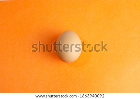 fresh boiled poultry large egg in a closeup picture