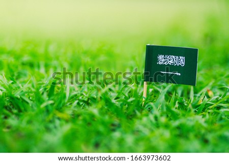 Small Saudi Arabia flag on green grass background