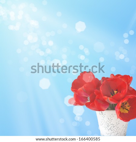 Postcard with fresh red tulips in bucket. Abstract flowers background.