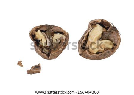 one nut open on white background, isolated