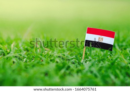 Small Egypt flag on green grass background