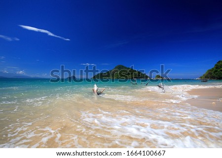 ิA picture of blue sky with sea and mountain, dead tree in the sea with waves, sand from south of Thailand.