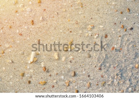 The beach with little stone and gravel and shell. Sea summer background concept.